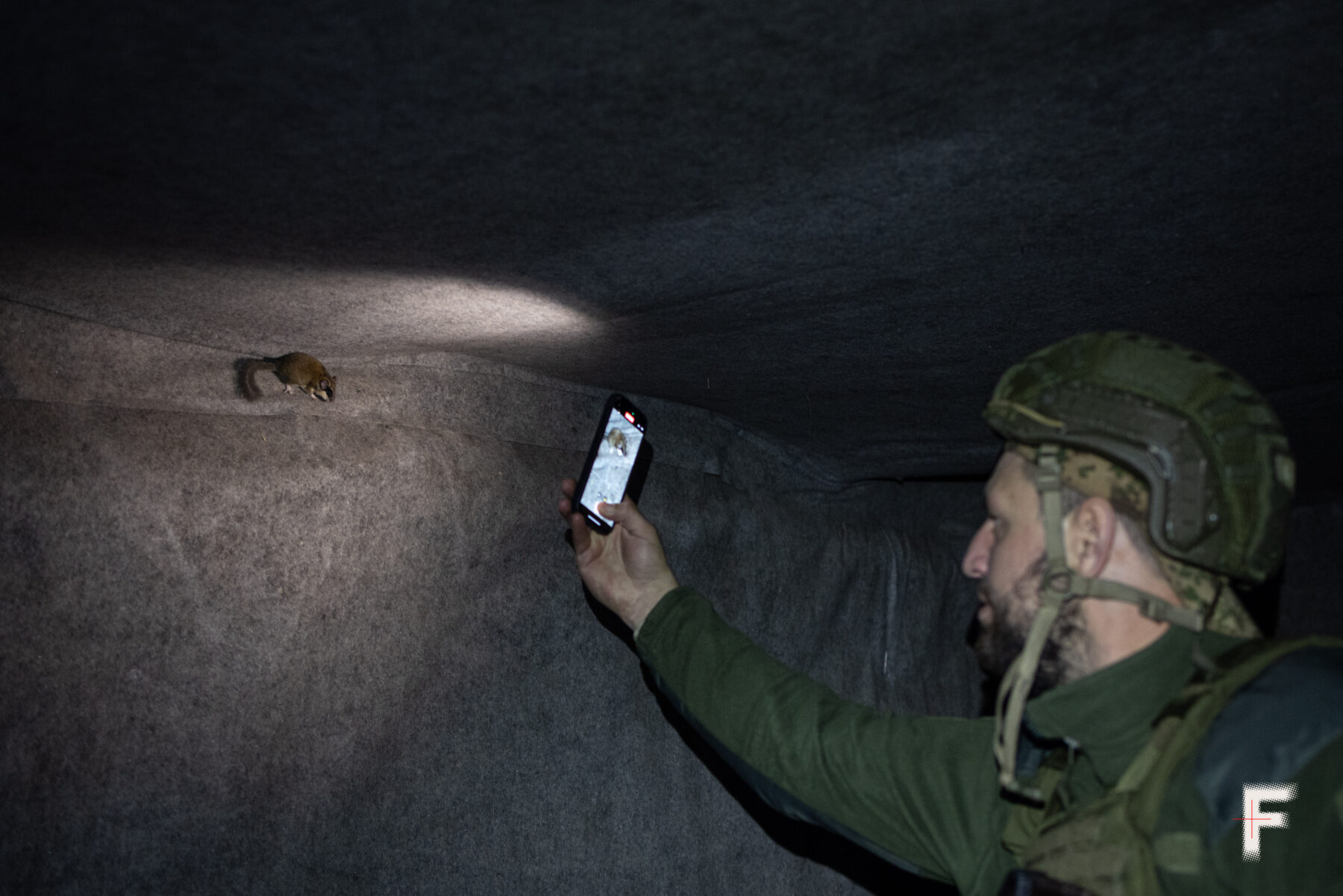 Війсковий фотографує на телефон маленьку тваринку яка мешкає разом із бійцями на позиціях.