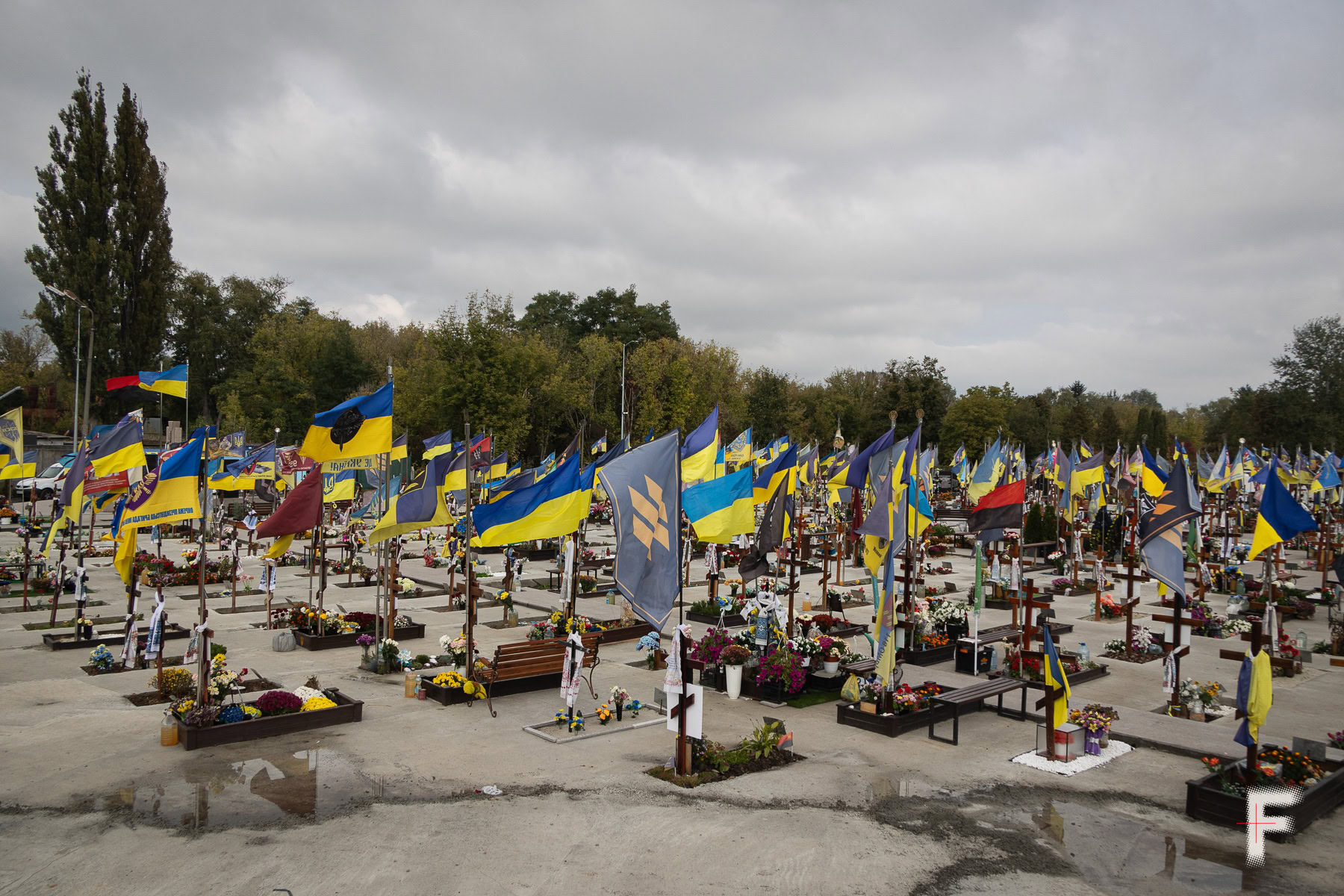 Українські прапори над могилами на військовому кладовищі