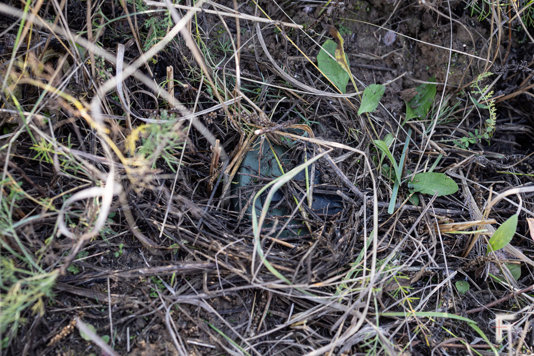 Прихована протипіхотна міна на мінному полі