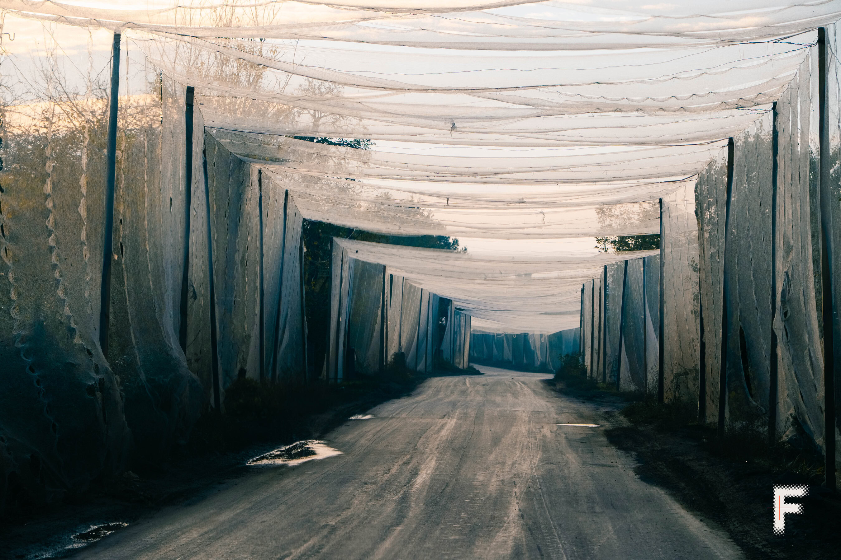 Антидронний сітковий коридор на прифронтовій території Донецької області