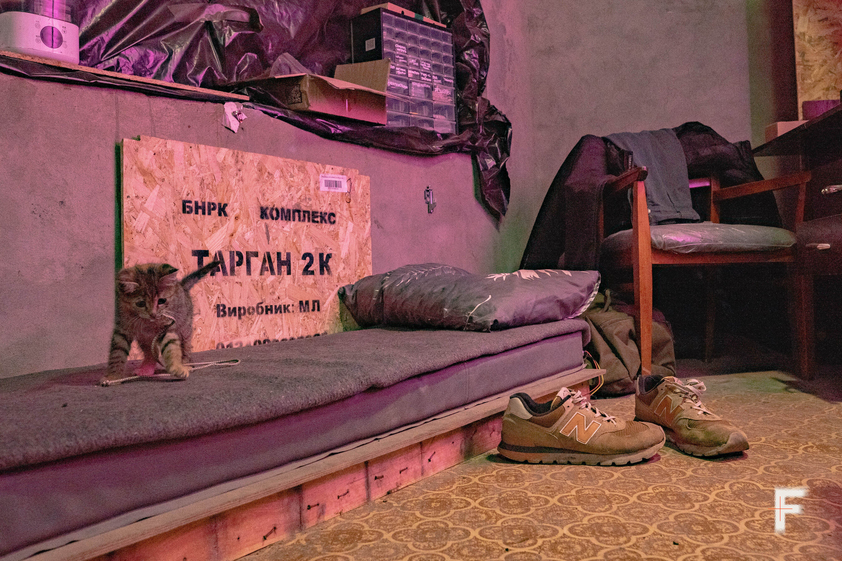 Імпровізоване військове ліжко в ангарі, на якому грається кошеня.