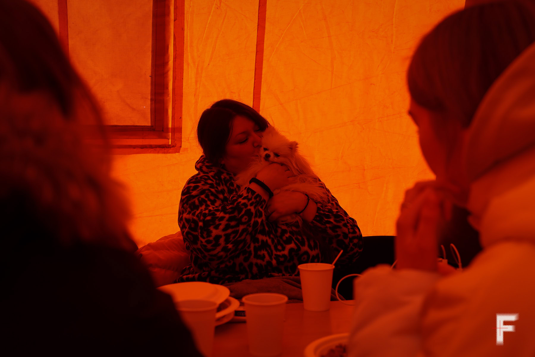 Аліна Шаклеїна з песиком Сантою прийшла до пункту незламності на Троєщині, щоб зарядити телефон і павербанк.