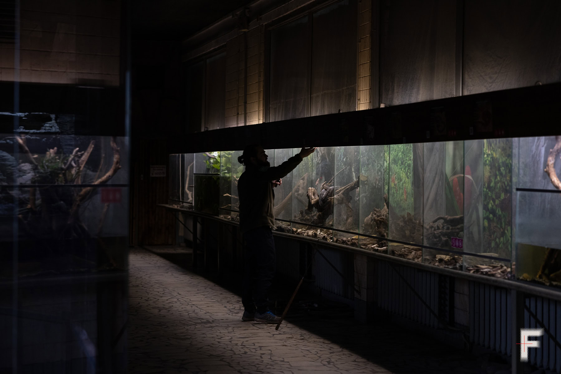 Працівник зоопарку перевіряє стан віваріїв та умови утримання тварин.