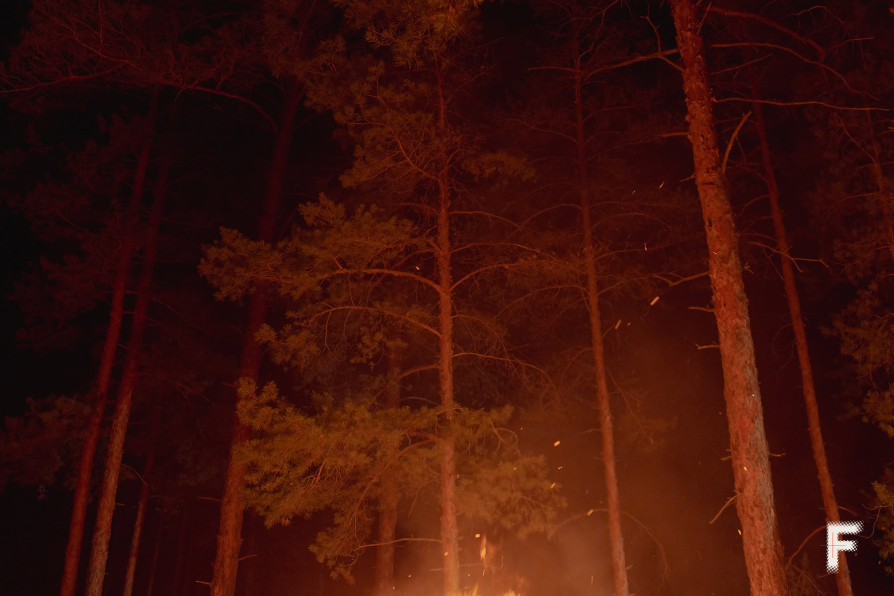 Нічний ліс освітлений світлом великого святкового вогнища