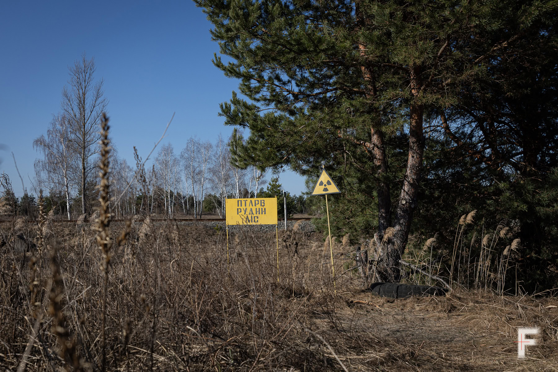 Знак радіоактивної небезпеки біля Рудого лісу в Чорнобильській зоні відчуження, Україна, 2026