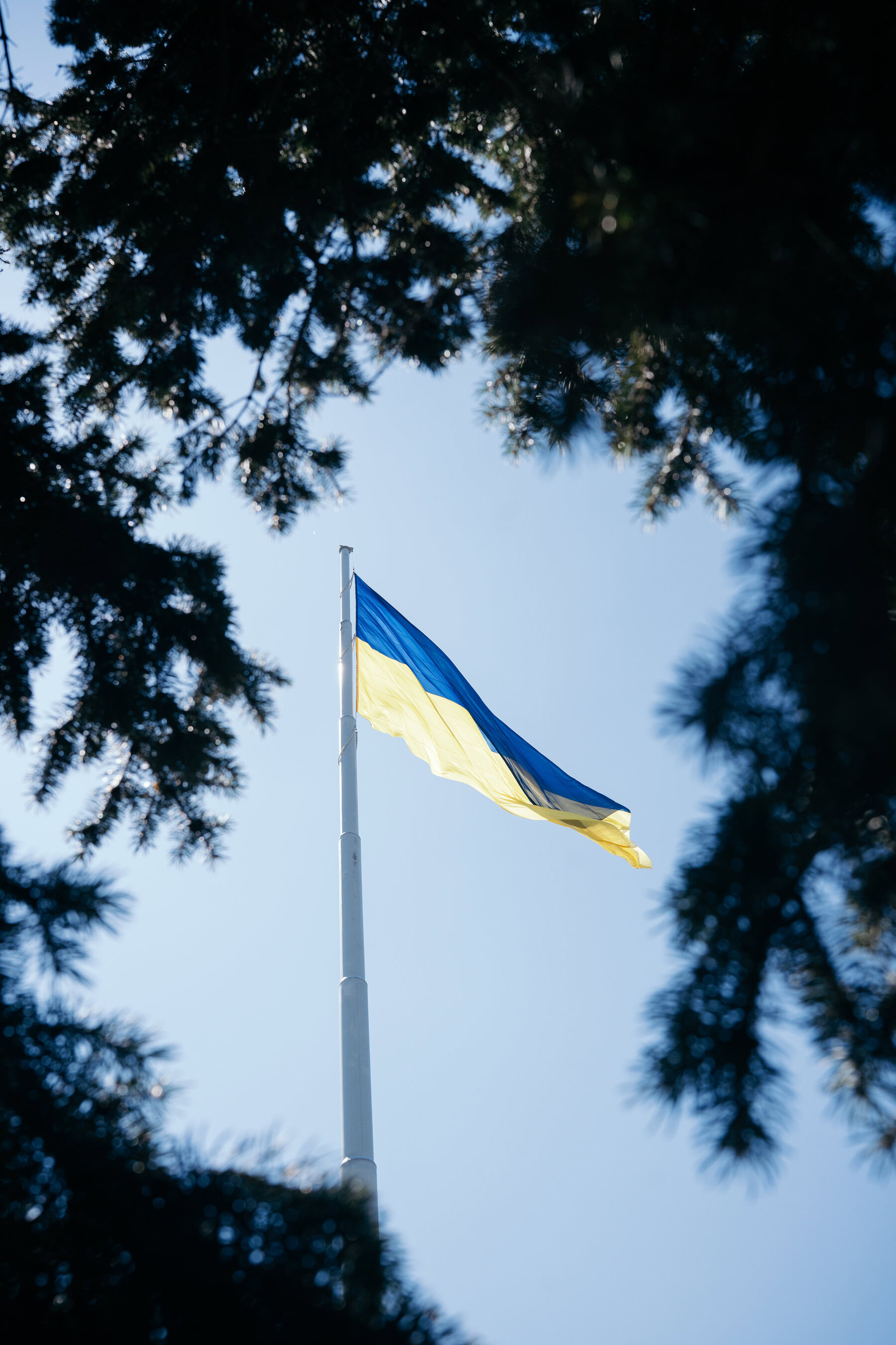Kramatorsk and Sloviansk: Drones, roses, the beach and a life that needs remembering