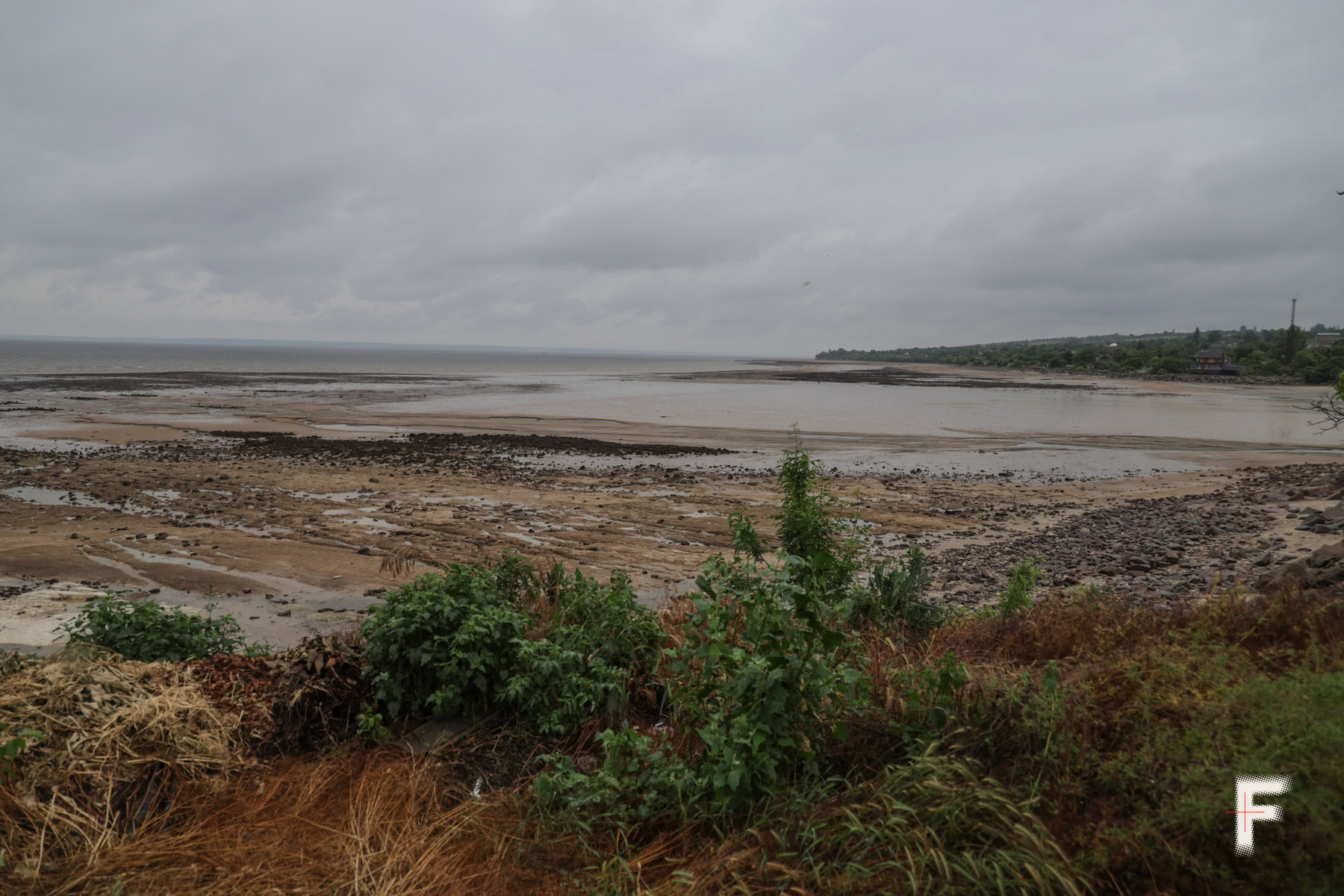 Обміліле Каховське водосховище після підриву дамби Каховської ГЕС у районі Нововоронцовки, Херсонська область, Україна, 11 червня 2023